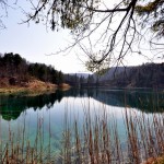 tatil (110)